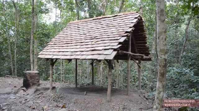آموزش - خانه جنگلی - آکرومارکت -چگونه -ساخت -زندگی بدوی-انسان اولیه -